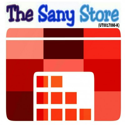 THE SANY STORE
